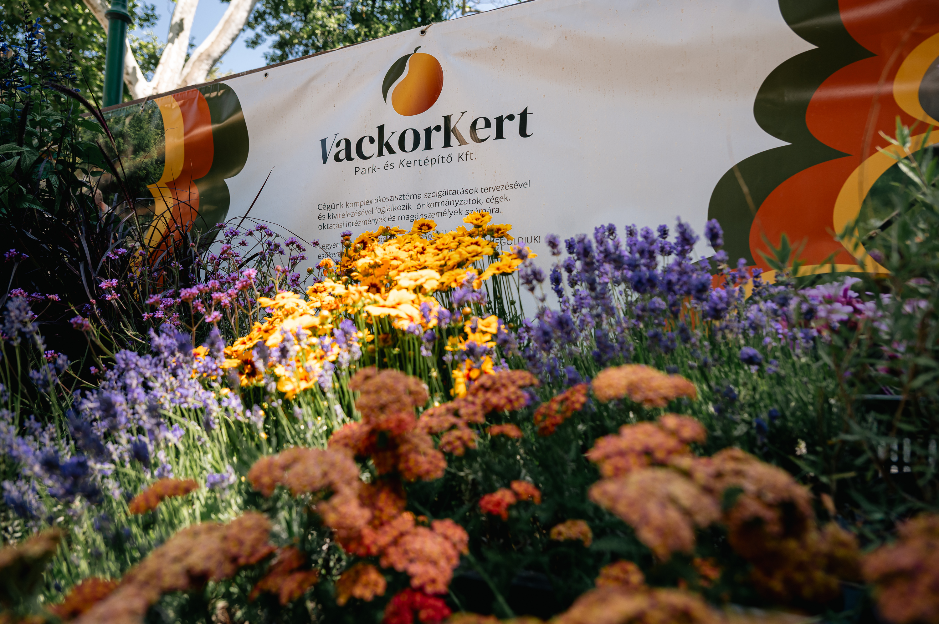One of the event’s pop-up participants: the Vackorkert