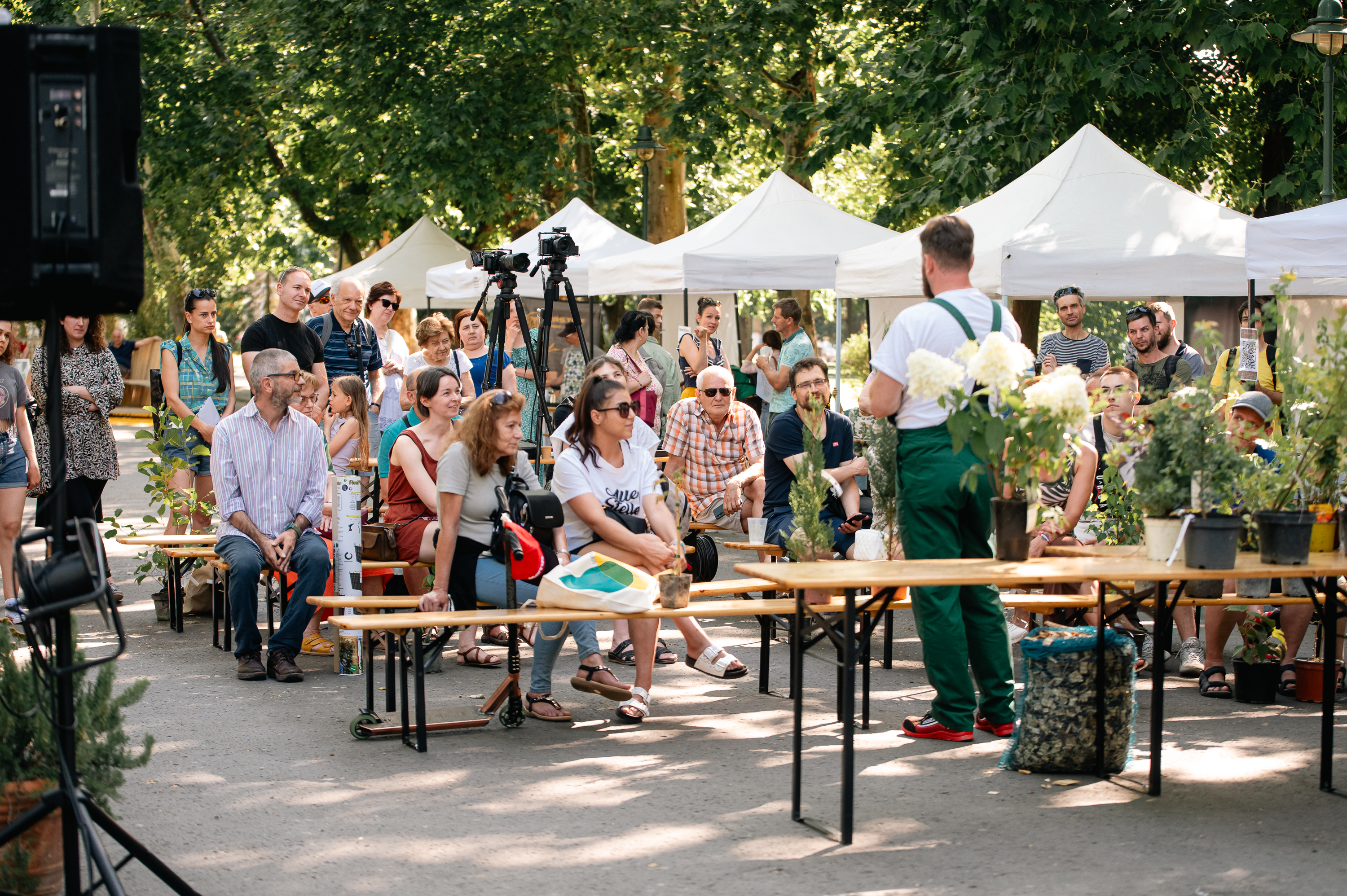 ReGreenX Festival in Szeged, at Széchenyi Square