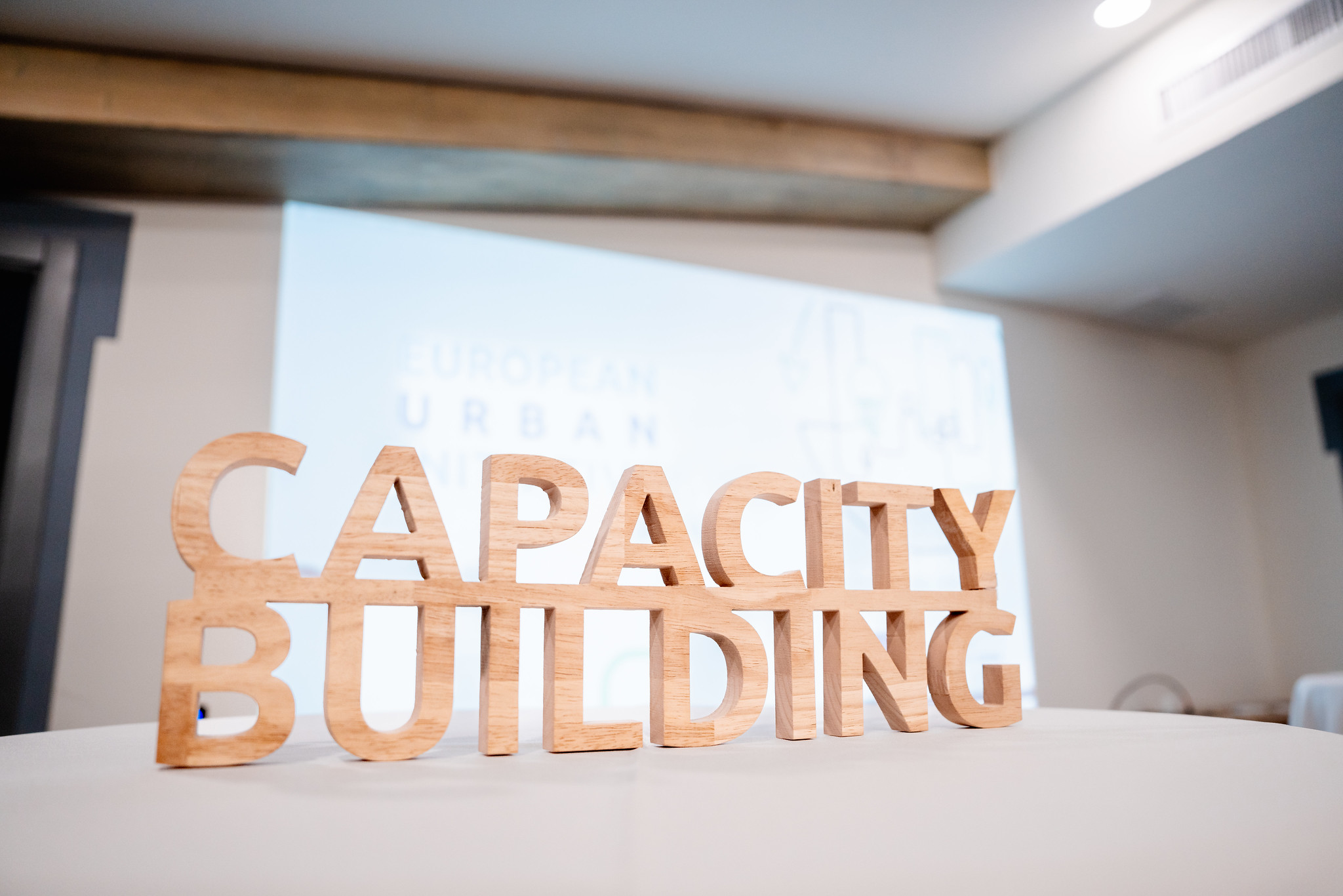 Capacity building wooden words