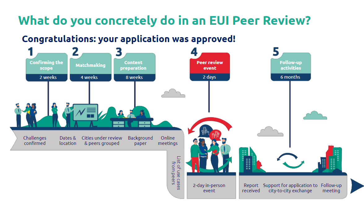 Ablauf einer Peer Review