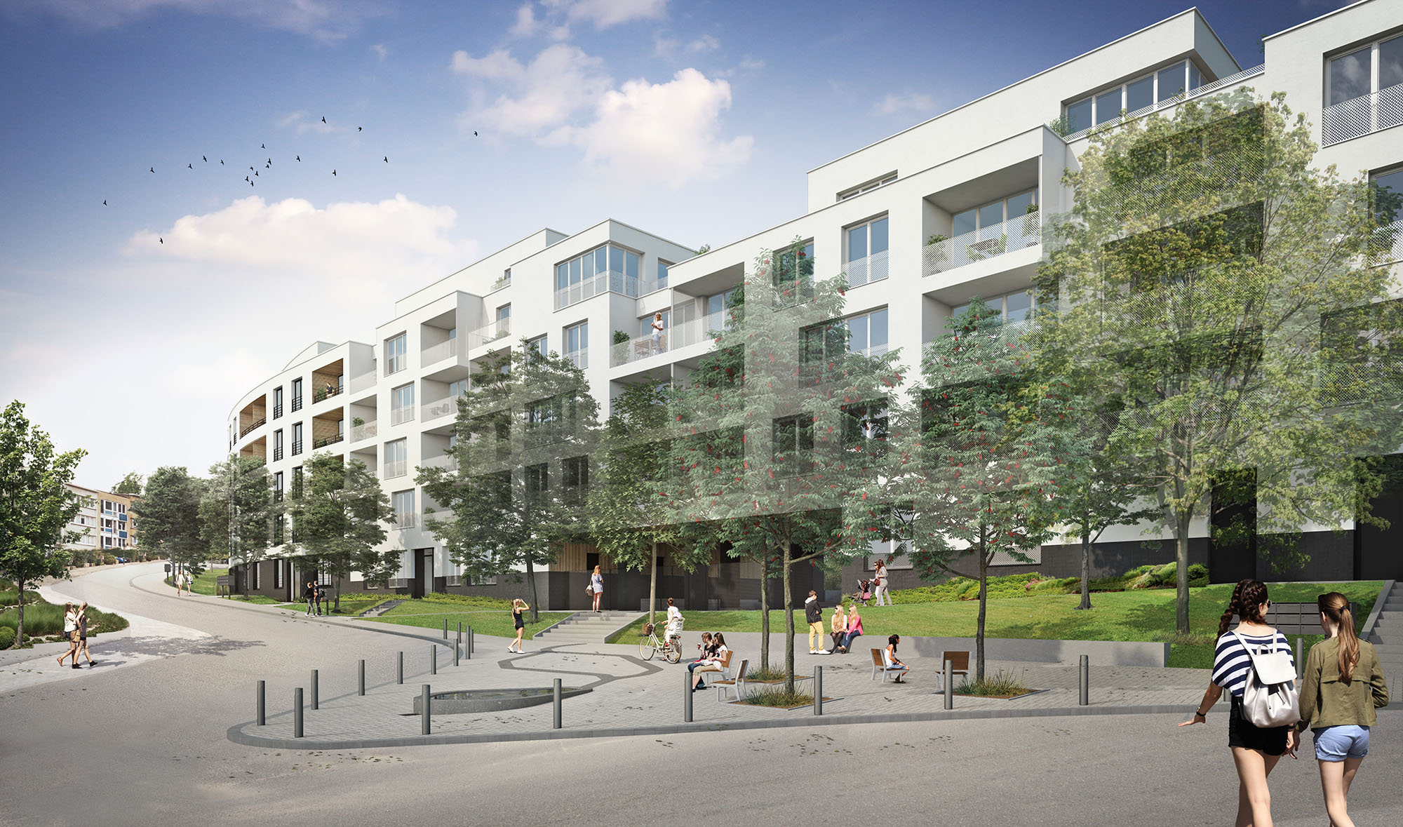 CALICO – Brussels