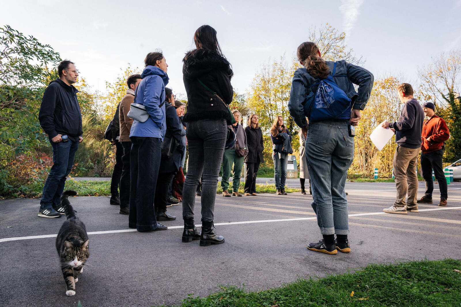 Rewild site visit fluvius