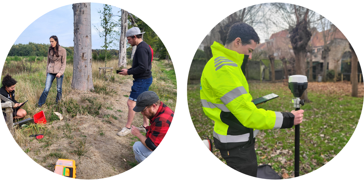 Installation of dendrometers (left) by UGent and groundwater sensors by iFLUX (right)