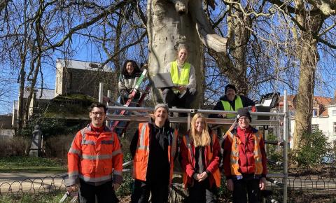 TeamUGent_treewatch_weekvanhetwater_2024