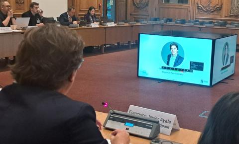 Mayor in OECD
