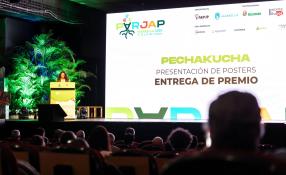 Premio al Mejor Póster PARJAP Marbella 2025