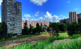 picture of the progressive park area