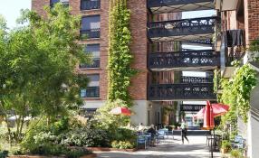 Little C Rotterdam (foto Nanda Sluijsmans)