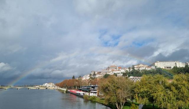 water and city