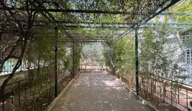 Garden in Chalandri