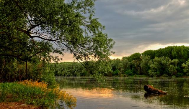 drava