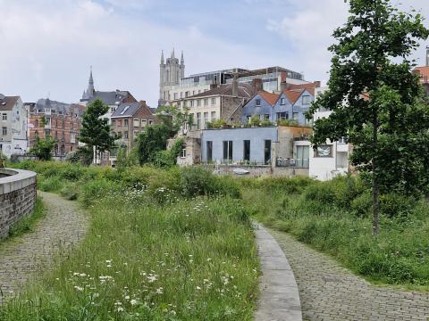 REWILD_City_of_Ghent, Belgium