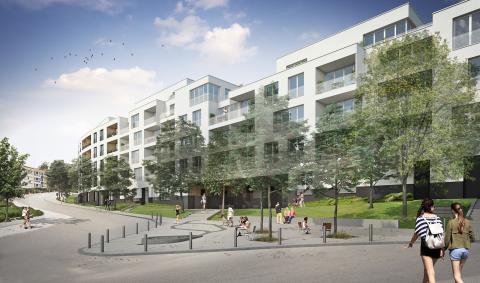 CALICO – Brussels