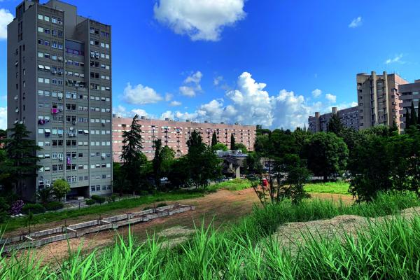 picture of the progressive park area