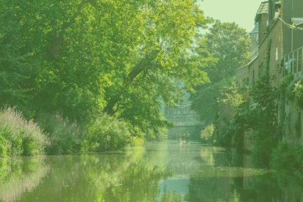 Mechelen - WATSUPS_Green