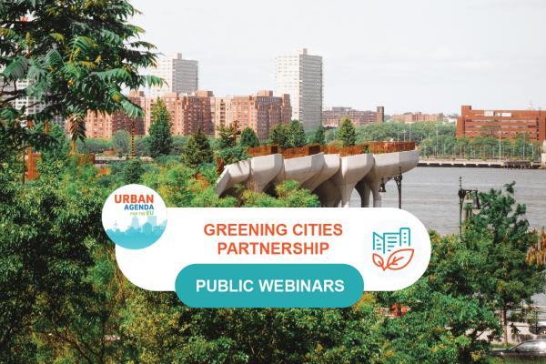 webinar