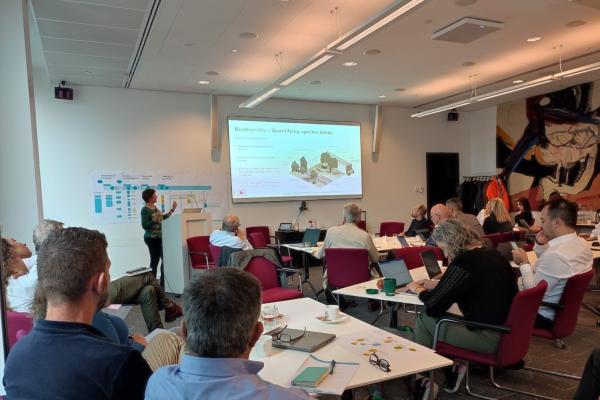 Thematic Partnerships as models