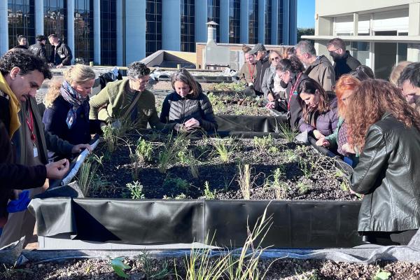 The pilot test installations on the rooftop of the Consorci de la Zona Franca building
