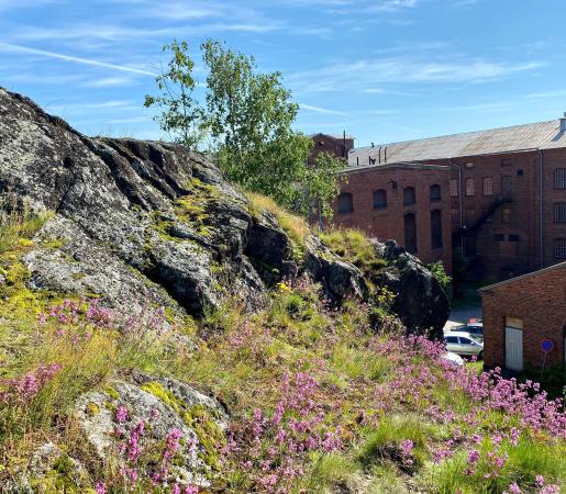Cover photo Turku
