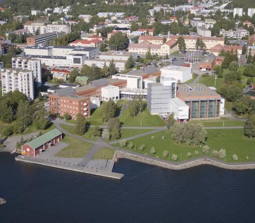 City-of-Vaasa