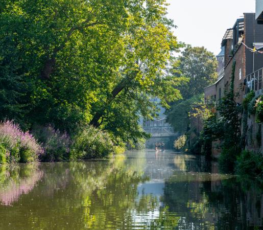 Mechelen - WATSUPS