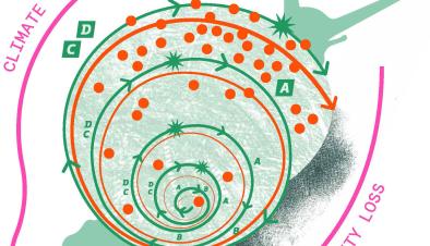 S4T Co-Design Strategy - conceptual image