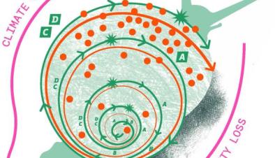 co-design_chiocciola_1