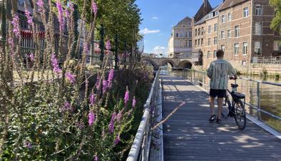 Cyclist on the Dyle path
