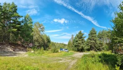 de la degradare la regenerare