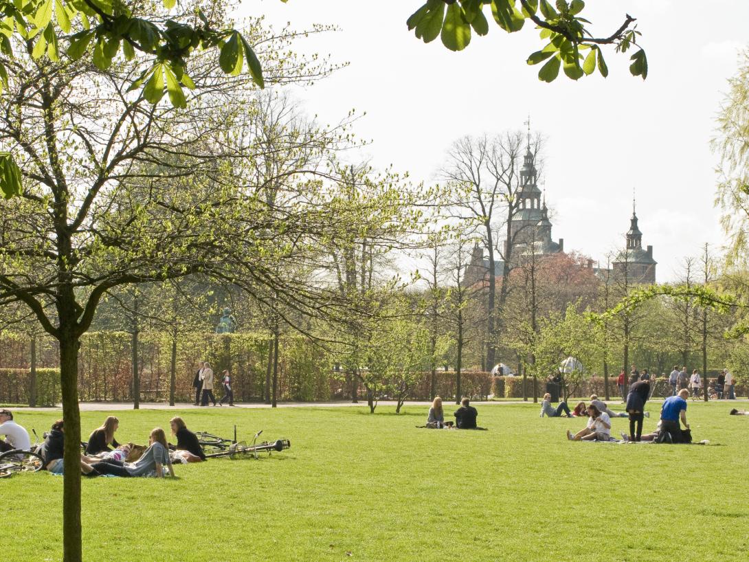 Kongens Have